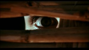 large_ital_a_bay_of_blood_blu-ray_3i_t800